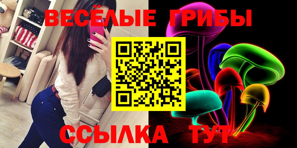 Псилоцибиновые грибы Cubensis Ачхой-Мартан