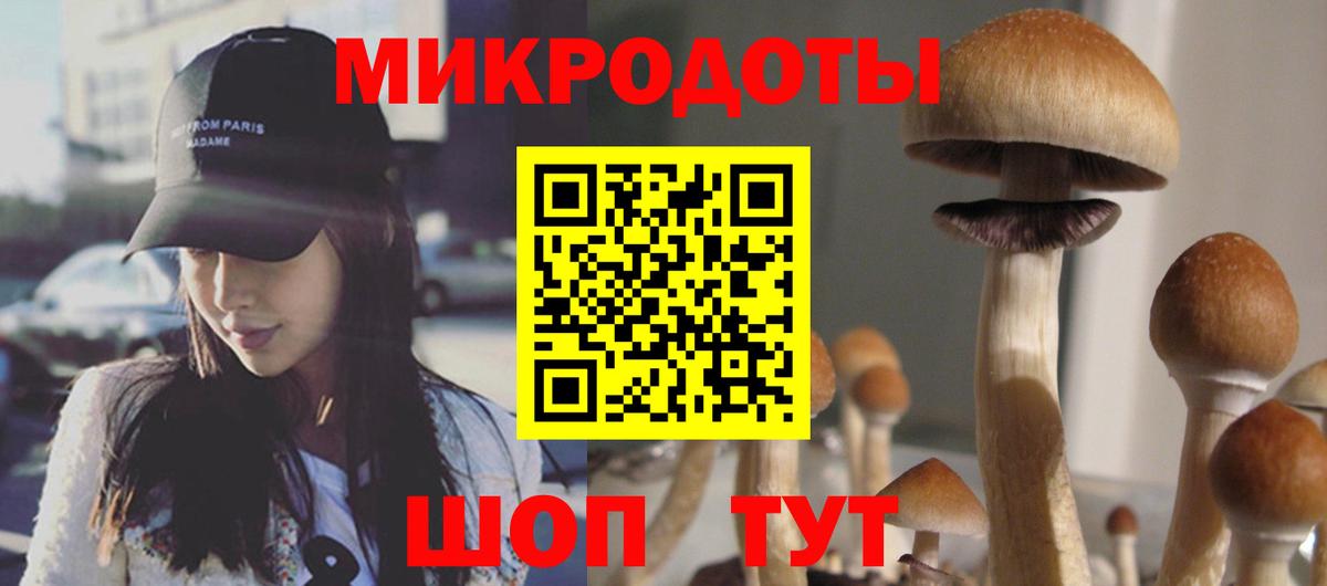 Псилоцибиновые грибы Cubensis  Вход с VPN  Ачхой-Мартан  Псилоцибиновые грибы мухоморы 