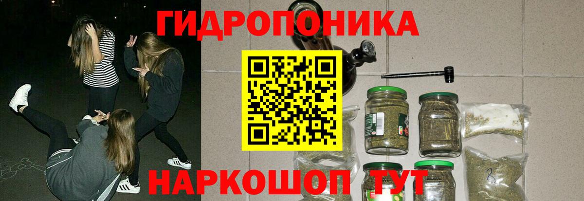 Бошки Шишки MAZAR Ачхой-Мартан